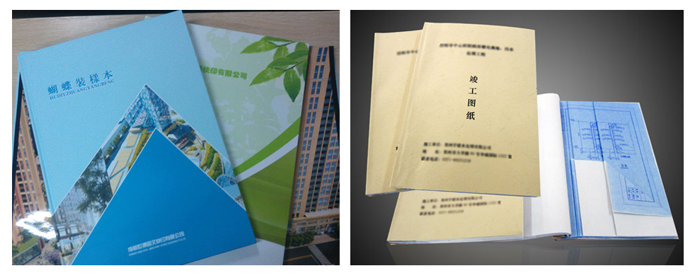 2013010509203981.jpg